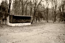 Untitled-6.webp