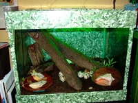 DSCF2629.jpg