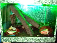 DSCF2605.jpg