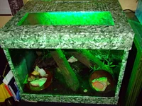 DSCF2606.jpg