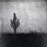 1 img671 мал.webp