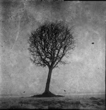 6 img689+шарп мал.webp