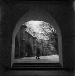 7 img684++ мал.webp