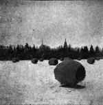 10 img679 мал.webp