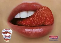 ehrmann-taste-temptation-small-24123.webp