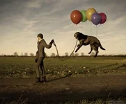 lazy_dog.webp
