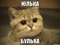 pidrila-ebanaya-kotik_25106938_orig_.webp