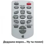 пулт управления девушкой.jpg