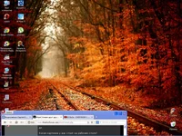 .webp