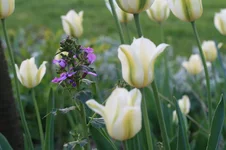  2013 048.webp