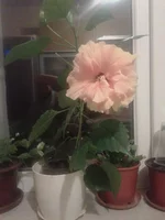 2013-08-27 21.56.01.webp