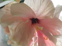 IMG_1392.webp