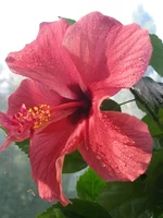 P8114073.webp