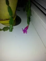 20140117_185239.jpg