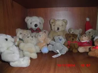  017.webp