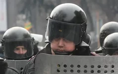 1342464.jpg