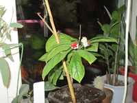 IMG_0444.webp
