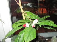 IMG_0445.webp