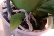 1390306368302.webp