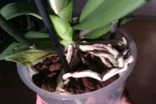 1390306464352.webp