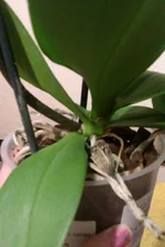 IMAG0213.jpg