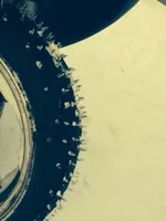 WcY79VMXzOc.webp