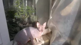 210120141289.webp
