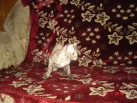 DSC08944.webp