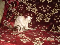 DSC08948.webp