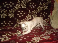 DSC08950.webp
