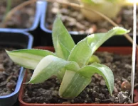 sIMG_1381.webp sIMG_1381.webp