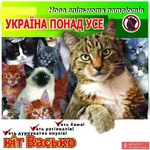 .webp