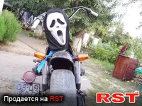 3204710-1.webp