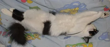 DSCN8607.webp
