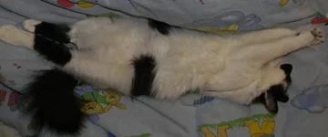 DSCN8609.webp