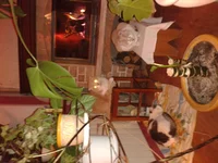 2012-12-25 21.10.37.webp