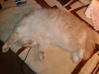 2012-10-28 19.12.46.webp