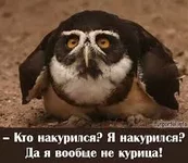 images4.webp