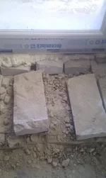 IMAG0564.webp