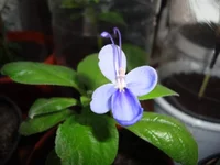 DSC03933.webp