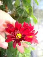 DSC03983.webp