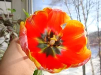 DSC03980.webp