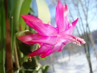 DSC03975.webp