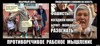 43dEvFxtVgI.webp
