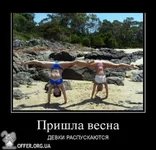 mxcp1399205546.webp