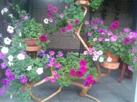 2012-07-13 12.42.22.webp