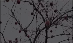  екрана з 2014-02-03 16:21:31.webp