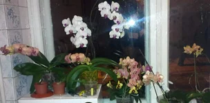 030220141234.webp