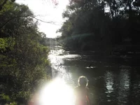 P8244488.webp