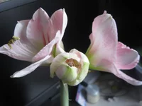 IMG_5124.webp